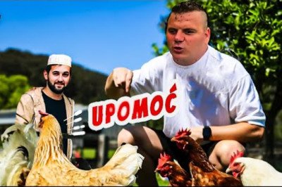 🐓 Hamdijin horoz DOZIVA u POMOĆ