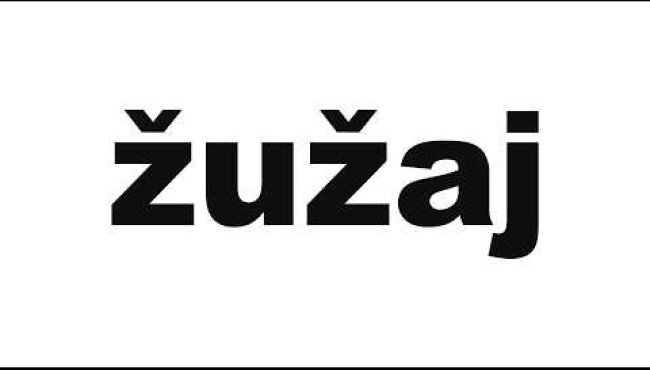 žužaj